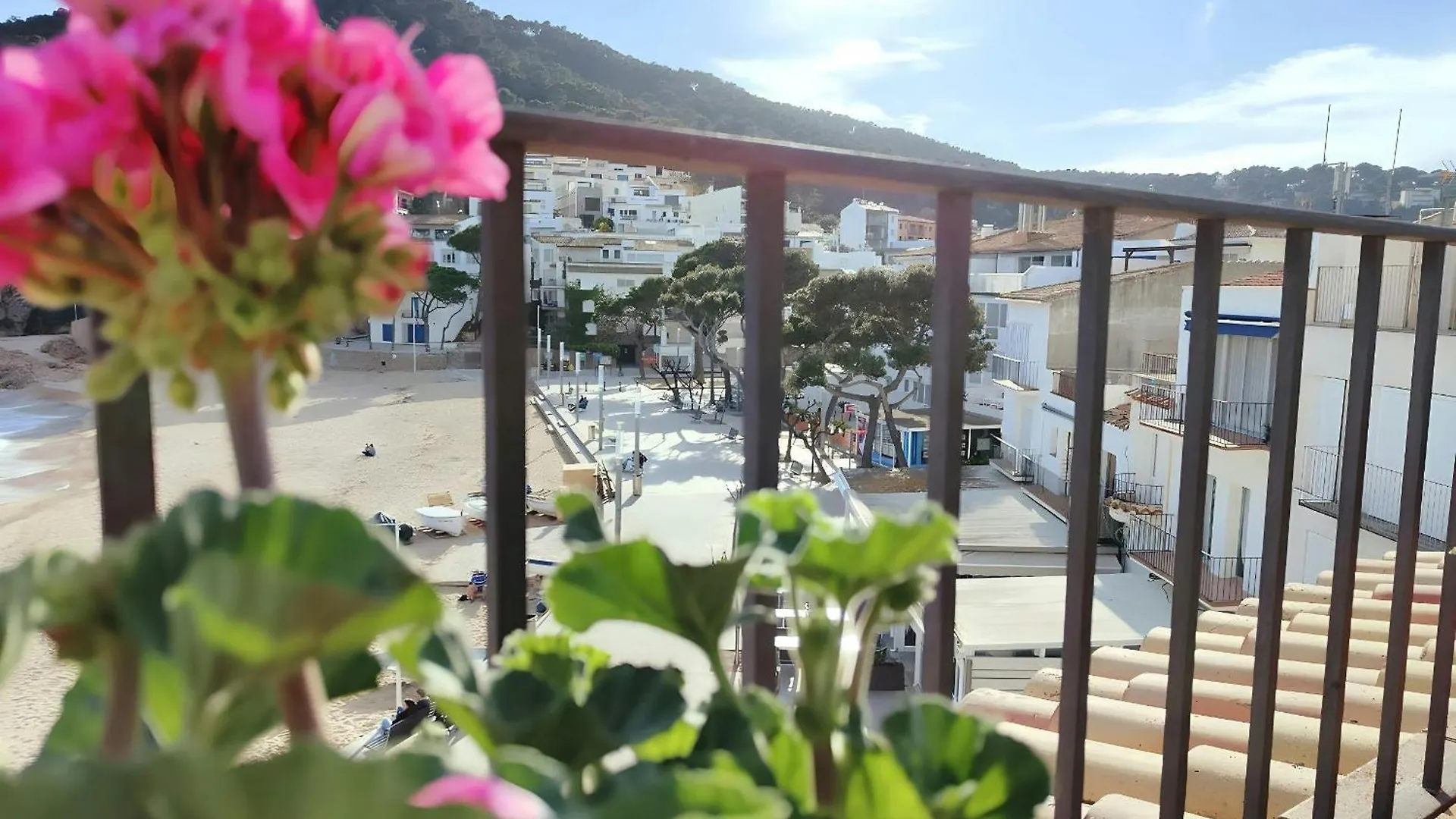 Tamariu Platja - Penthouse On Passeig Del Mar. Apartment Spain